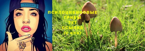 ECSTASY Балабаново